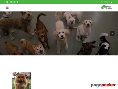 iranchowchow.com