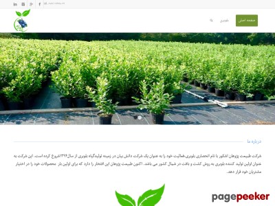 blueberris.com