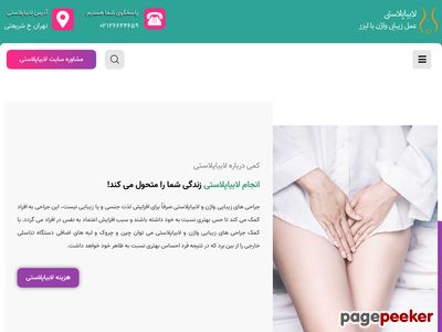 labiaplasty.info